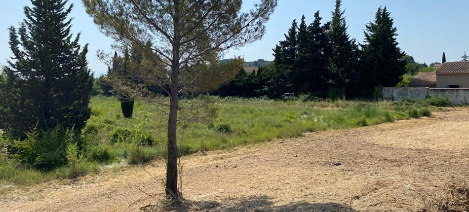 Terrains en exclusivité à Caumont-sur-Durance (84)  - lotissement