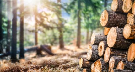 MFC- Les étapes pour construire une maison à ossature bois
