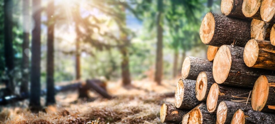 - MFC- Les étapes pour construire une maison à ossature bois