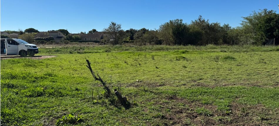 Visites Privées à Morières-lès-Avignon : découvrez les terrains de la Terre des Sumelles !  - Visites Privees Morieres-les-Avignon Maisons France Confort