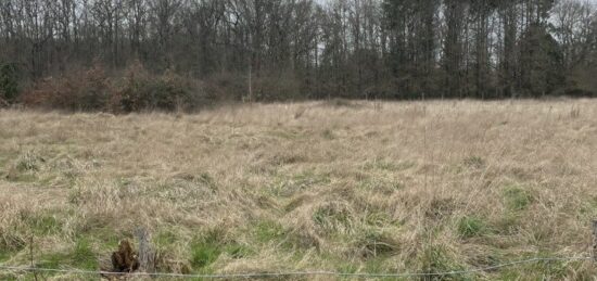 Terrain à bâtir à , Loiret