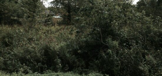 Terrain à bâtir à Mareau-aux-Prés, Centre-Val de Loire