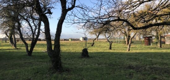 Terrain à bâtir à Villeneuve-la-Guyard, Bourgogne-Franche-Comté