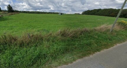Cerisiers Maison neuve - 1790707-574annonce120240215hM6Ug.jpeg Maisons France Confort