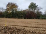 Maison à construire à Vandières (54121) 1790494-5138annonce120240215lDmLz.jpeg Maisons France Confort