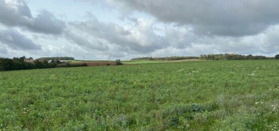 Terrain à bâtir à Rurange-lès-Thionville, Grand Est