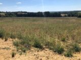 Maison à construire à Chevannes (89240) 1798727-574annonce120240226Lq7GW.jpeg Maisons France Confort
