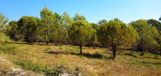 Terrain à bâtir à Bagnols-en-Forêt, Provence-Alpes-Côte d'Azur