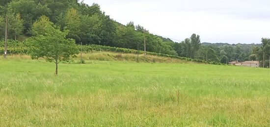 Terrain à bâtir à Montpeyroux, Nouvelle-Aquitaine