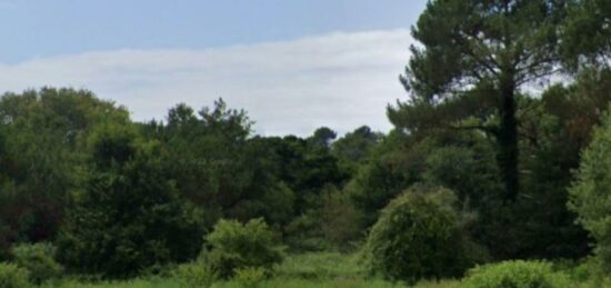 Terrain à bâtir à Messanges, Nouvelle-Aquitaine
