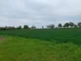 Terrain à bâtir à Waldwisse (57480) 1847242-5140annonce320240430Lus4b.jpeg Maisons France Confort