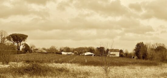 Terrain à bâtir à Prignac-et-Marcamps, Nouvelle-Aquitaine