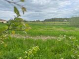 Maison à construire à Hagen (57570) 1876938-5141annonce120240610gvOIh.jpeg Maisons France Confort