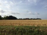 Maison à construire à Luppy (57580) 2026247-5136annonce120241212zzhXC.jpeg Maisons France Confort