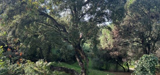 Terrain à bâtir à , Var