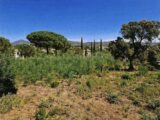 Terrain à bâtir à Sainte-Maxime (83120) 2066988-11102annonce120250131wbWR2.jpeg Maisons France Confort
