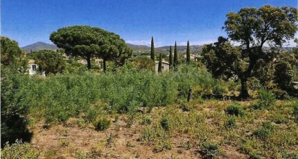 Sainte-Maxime Terrain à bâtir - 2066988-11102annonce120250131wbWR2.jpeg Maisons France Confort