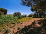 Terrain à bâtir à Sainte-Maxime (83120) 2066988-11102annonce320250131dPOA7.jpeg Maisons France Confort