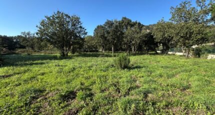 Le Plan-de-la-Tour Terrain à bâtir - 2066986-11102annonce320250131qQzti.jpeg Maisons France Confort
