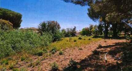 Sainte-Maxime Maison neuve - 2066989-11102annonce320250131dPOA7.jpeg Maisons France Confort