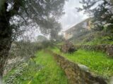 Terrain à bâtir à Puget-sur-Argens (83480) 2067061-11102annonce120250131K5cTB.jpeg Maisons France Confort