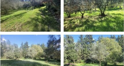 Draguignan Maison neuve - 2067074-11102annonce120250131lT1TN.jpeg Maisons France Confort