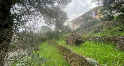 Puget-sur-Argens Maison neuve - 2067062-11102annonce120250131K5cTB.jpeg Maisons France Confort