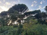 Terrain à bâtir à Sainte-Maxime (83120) 2067155-11102annonce1202501312GLvZ.jpeg Maisons France Confort