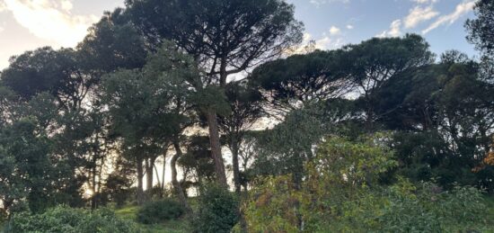 Terrain à bâtir à Sainte-Maxime, Provence-Alpes-Côte d'Azur