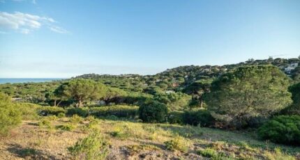 Sainte-Maxime Terrain à bâtir - 2067287-11102annonce320250131HhSud.jpeg Maisons France Confort