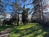 Terrain à bâtir à Roquebrune-sur-Argens (83520) 2067229-11102annonce120250131oIrob.jpeg Maisons France Confort