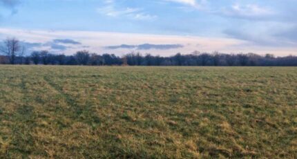 Bréhain-la-Ville Maison neuve - 2070419-5138annonce220250205tyThF.jpeg Maisons France Confort