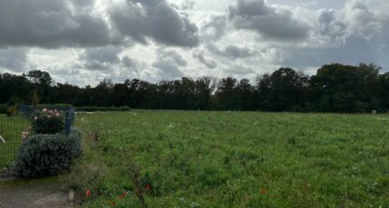 Ottange Terrain à bâtir - 2073474-5139annonce120250207XdLIU.jpeg Maisons France Confort