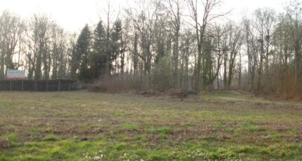 La Chapelle-la-Reine Terrain à bâtir - 2074897-4353annonce220250209wE3sT.jpeg Maisons France Confort