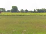 Terrain à bâtir à Bailleul (59270) 2077864-1807annonce320250212fmiCQ.jpeg Maisons France Confort