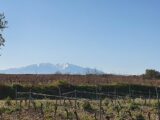 Terrain à bâtir à Vinça (66320) 2079449-4671annonce120250213k0Tx5.jpeg Maisons France Confort