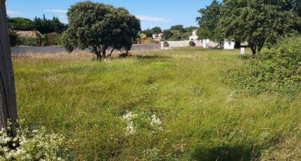 Althen-des-Paluds Terrain à bâtir - 2080228-695annonce220250214KBuXX.jpeg Maisons France Confort