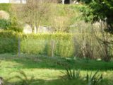 Terrain à bâtir à Saint-Fargeau-Ponthierry (77310) 2082644-4353annonce320250217vIKM8.jpeg Maisons France Confort