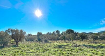 Bagnols-en-Forêt Maison neuve - 2087668-3701annonce320250222tnKk3.jpeg Maisons France Confort