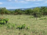 Terrain à bâtir à Cabrières-d’Avignon (84220) 2090941-3418annonce420230907pJmsS.jpeg Maisons France Confort