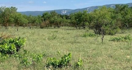 Cabrières-d'Avignon Terrain à bâtir - 2090941-3418annonce420230907pJmsS.jpeg Maisons France Confort