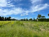 Maison à construire à Domazan (30390) 2063232-3418annonce1202410079M1JB.jpeg Maisons France Confort