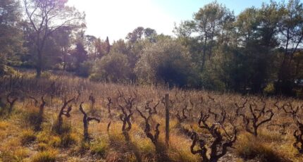Bagnols-en-Forêt Maison neuve - 2094904-3701annonce1202503033Krld.jpeg Maisons France Confort
