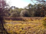 Maison à construire à Bagnols-en-Forêt (83600) 2094904-3701annonce220250303ICEJE.jpeg Maisons France Confort