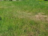 Maison à construire à Vernet-les-Bains (66820) 2098442-4671annonce120250306AueFm.jpeg Maisons France Confort