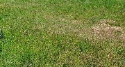 Vernet-les-Bains Maison neuve - 2098442-4671annonce120250306AueFm.jpeg Maisons France Confort
