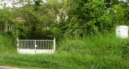 Bois-le-Roi Maison neuve - 2100431-4353annonce120250308HaSS0.jpeg Maisons France Confort