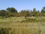 Terrain à bâtir à Vaison-la-Romaine (84110) 2105586-695annonce120250313uFRkw.jpeg Maisons France Confort