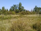 Maison à construire à Cabrières-d’Avignon (84220) 2105604-695annonce2202503131NPW9.jpeg Maisons France Confort