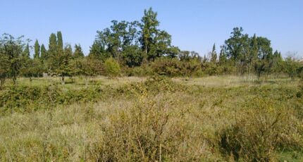 Cabrières-d'Avignon Terrain à bâtir - 2105601-695annonce2202503131NPW9.jpeg Maisons France Confort